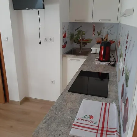 Encijan Apartment *